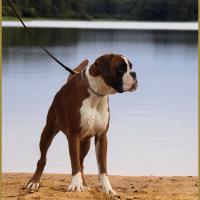 Jerez 17.08.15, 16 mois