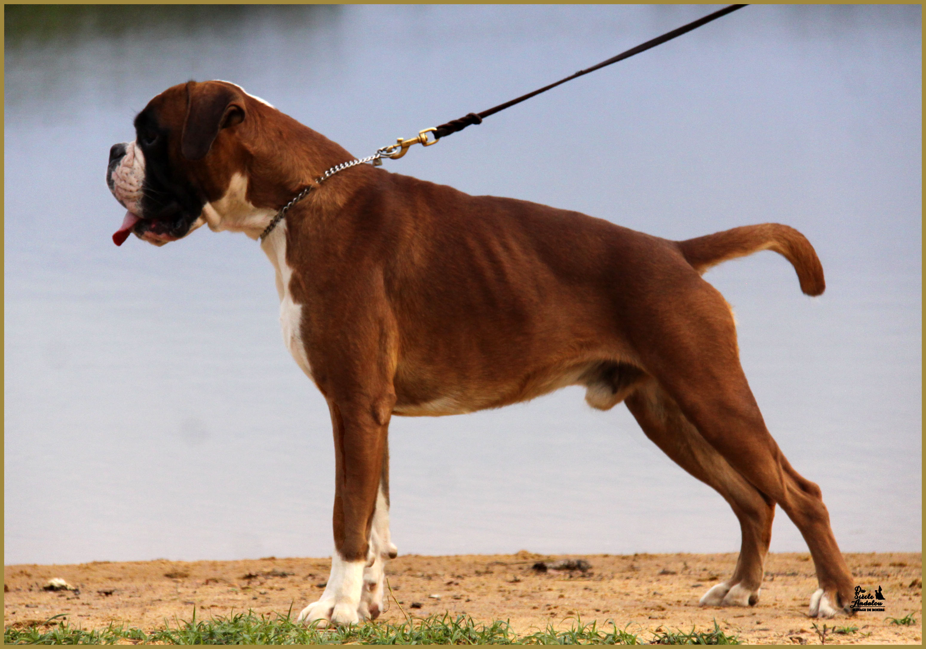 Jerez 17.08.15, 16 mois