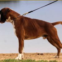 Jerez 17.08.15, 16 mois