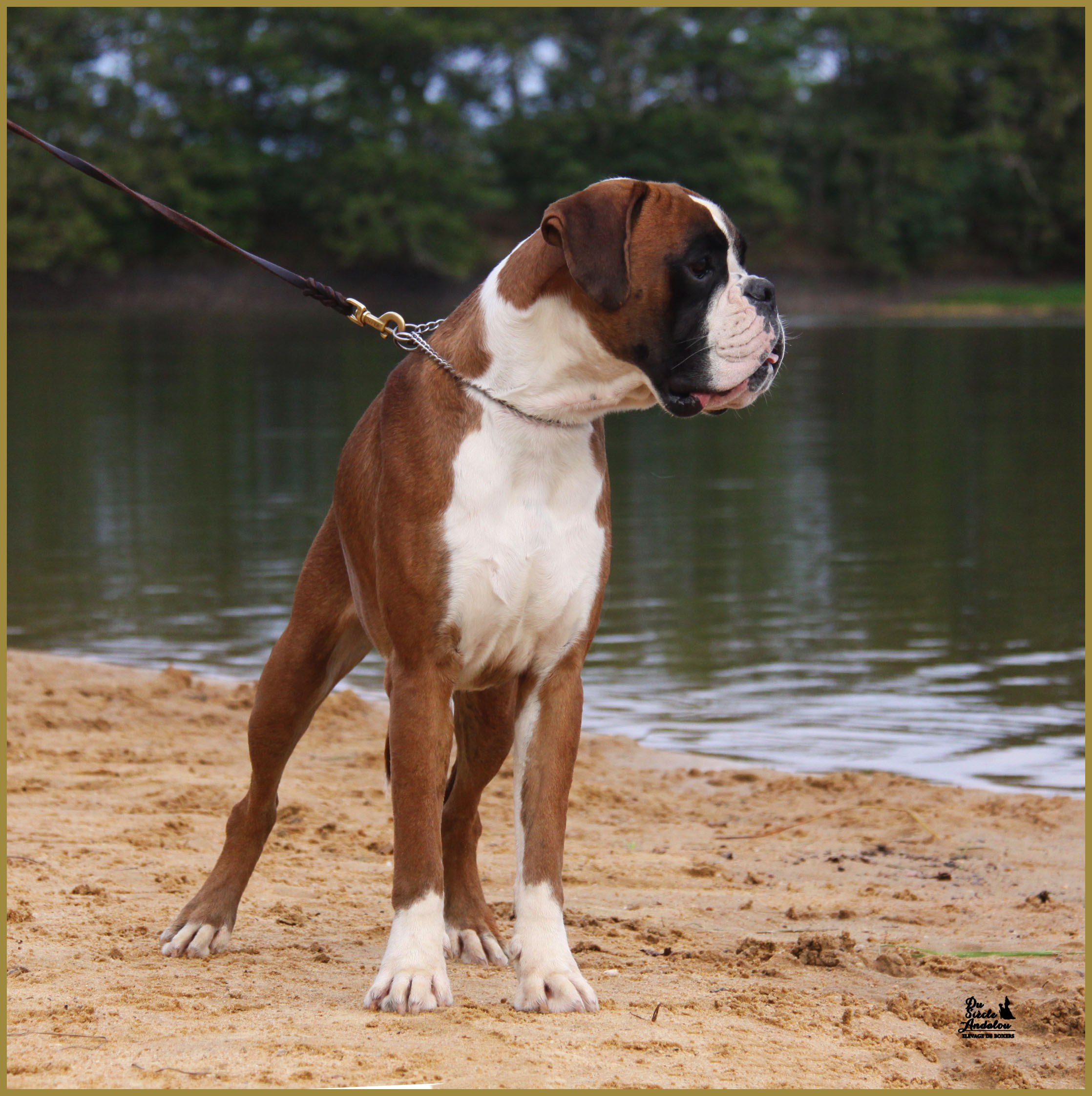 Jerez 17.08.15, 16 mois