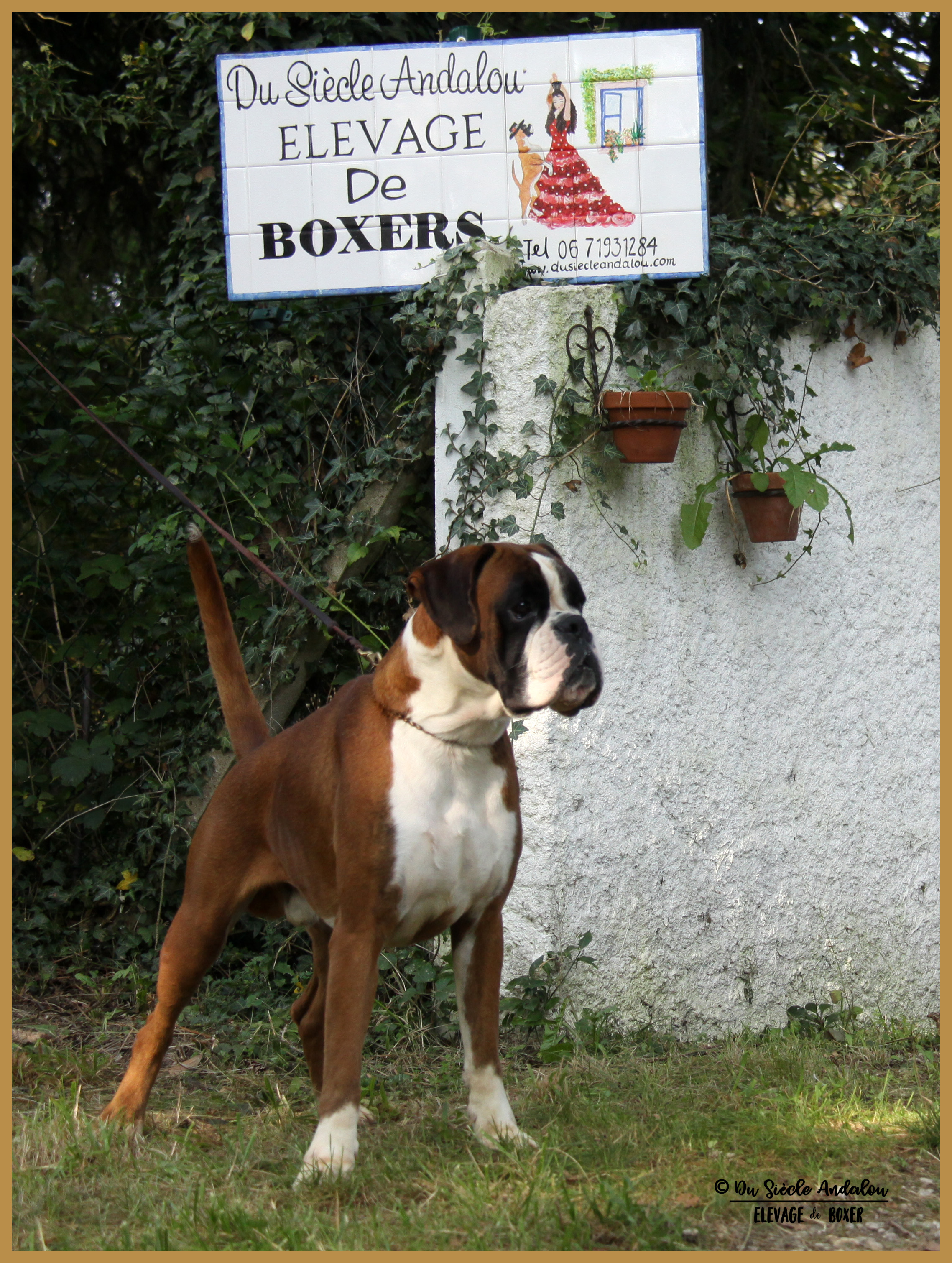 Jerez 26.08.17, 3 ans et demi