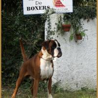 Jerez 26.08.17, 3 ans et demi