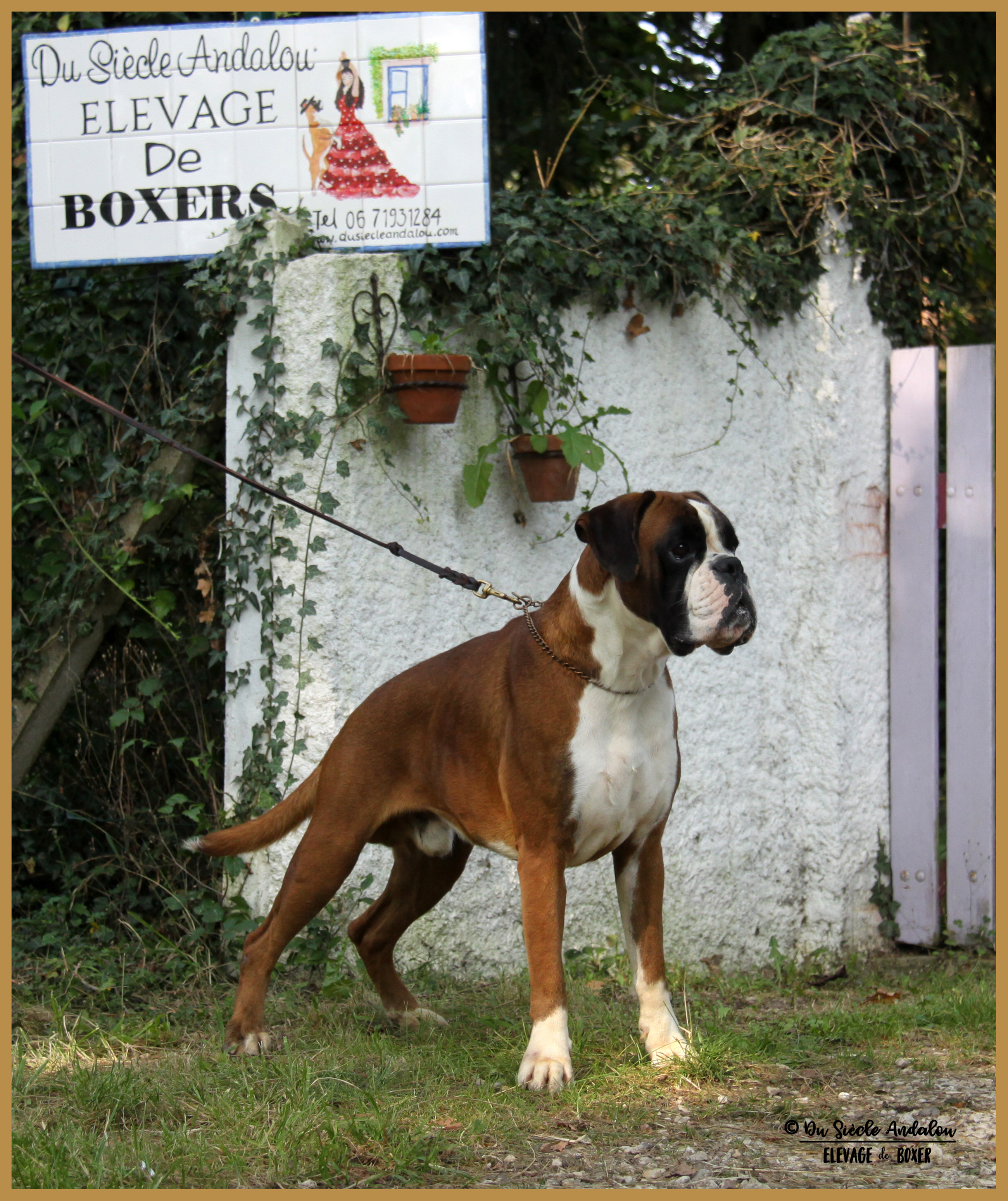 Jerez 26.08.17, 3 ans et demi