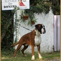 Jerez 26.08.17, 3 ans et demi