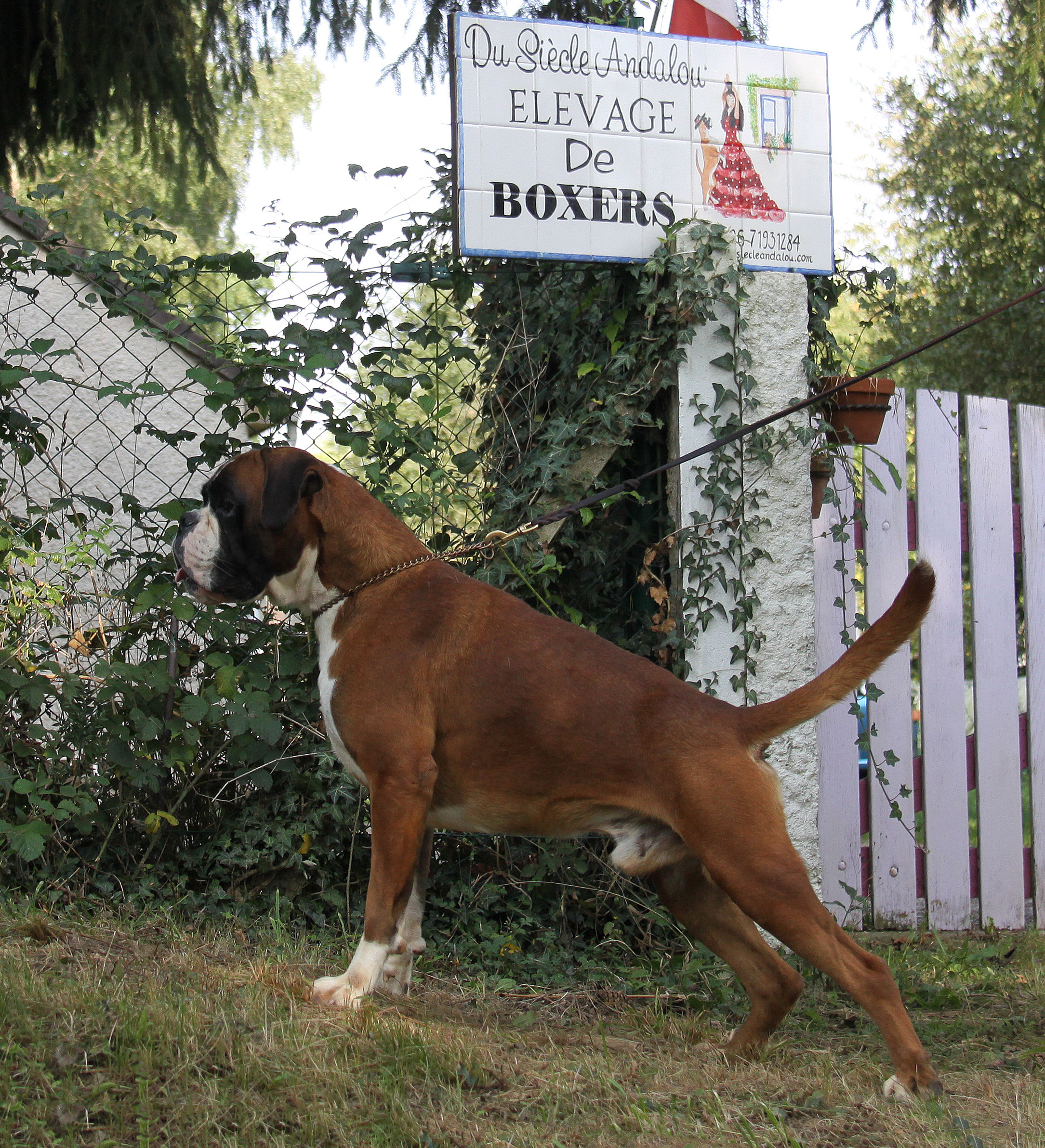 Jerez 26.08.17, 3 ans et demi