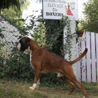 Jerez 26.08.17, 3 ans et demi