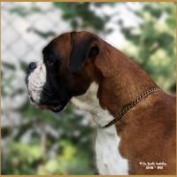 Jerez 26.08.17, 3 ans et demi