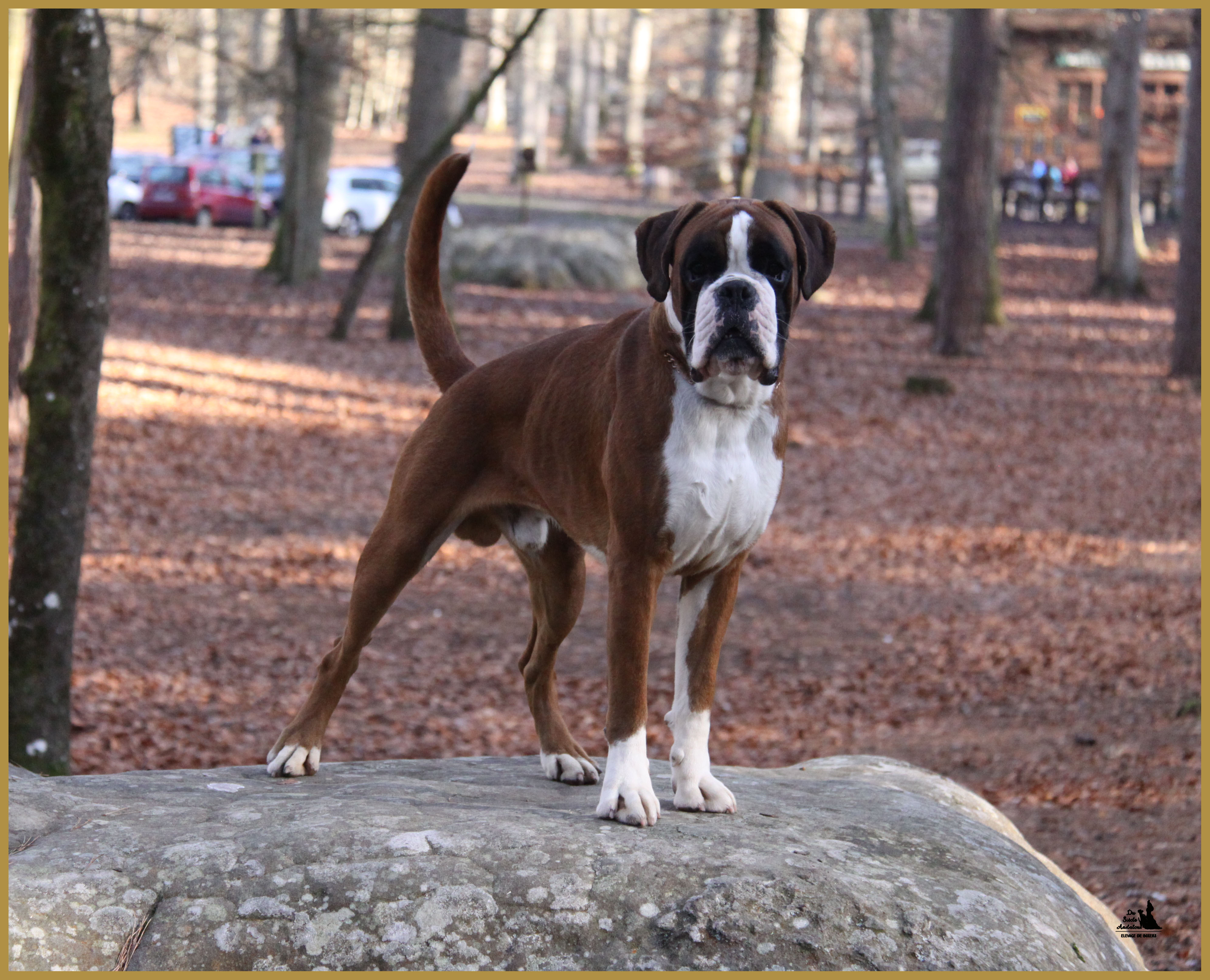 Jerez 26.12.15, 19 mois