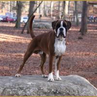 Jerez 26.12.15, 19 mois