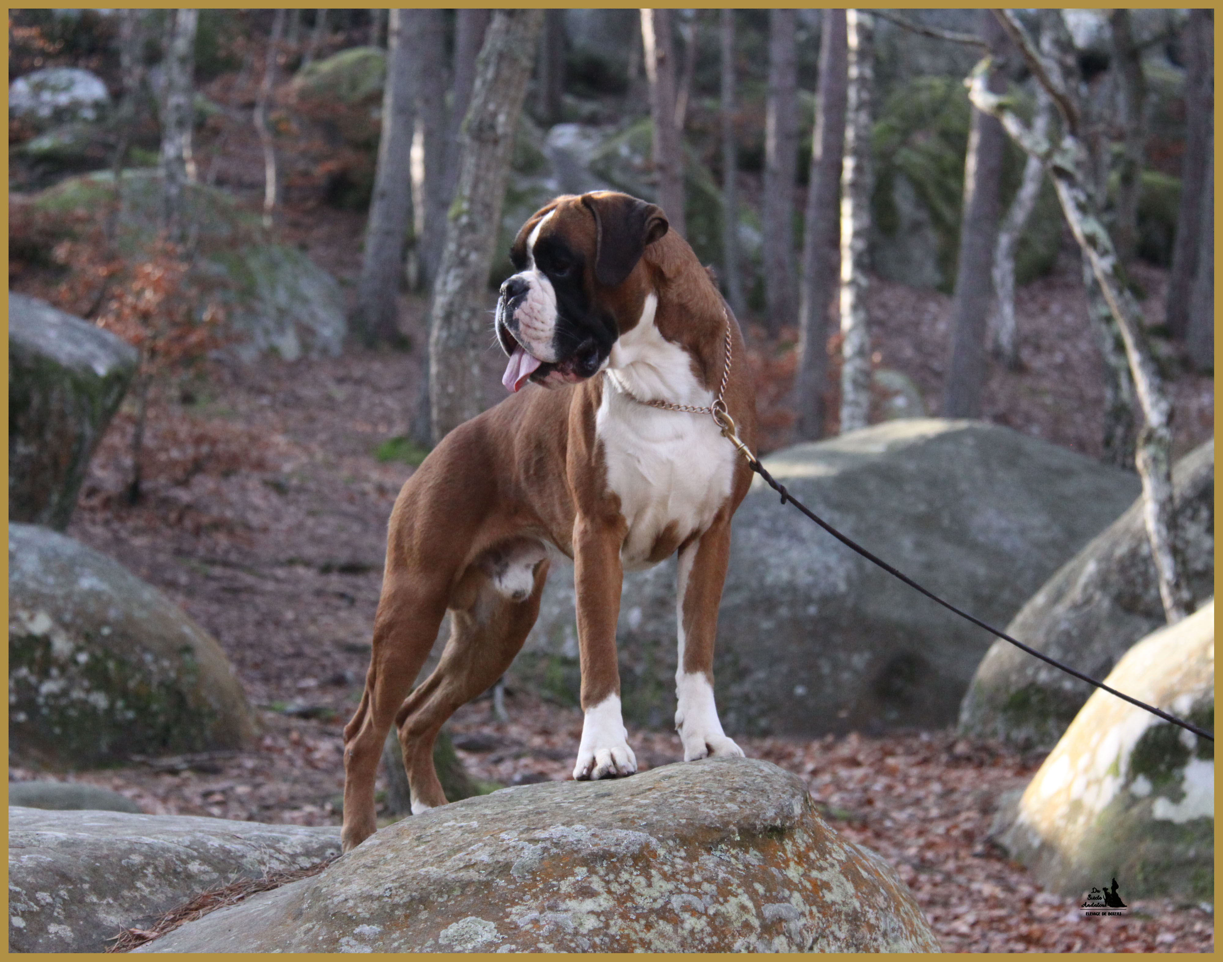 Jerez 26.12.15, 19 mois