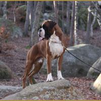 Jerez 26.12.15, 19 mois