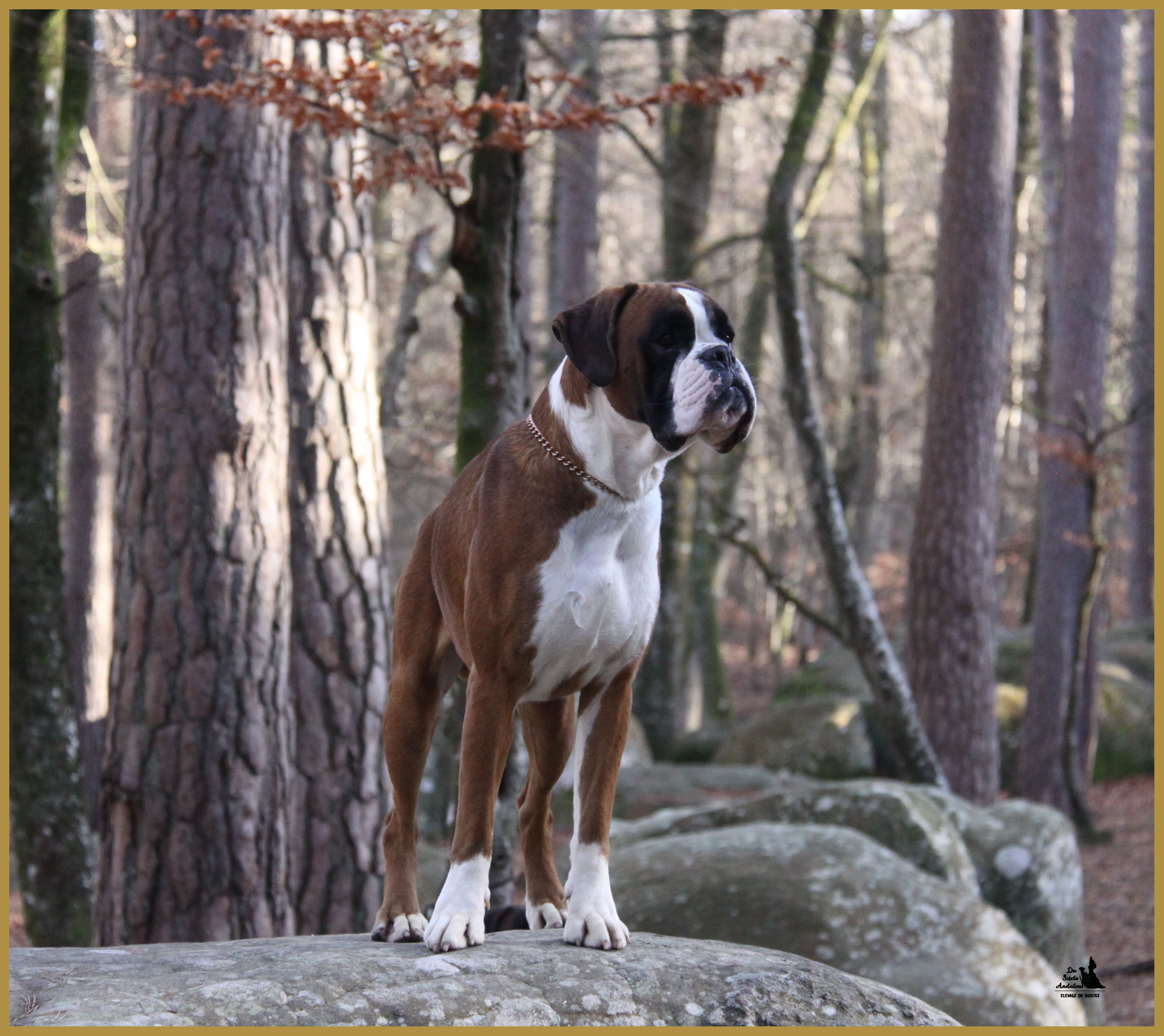 Jerez 26.12.15, 19 mois