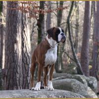 Jerez 26.12.15, 19 mois