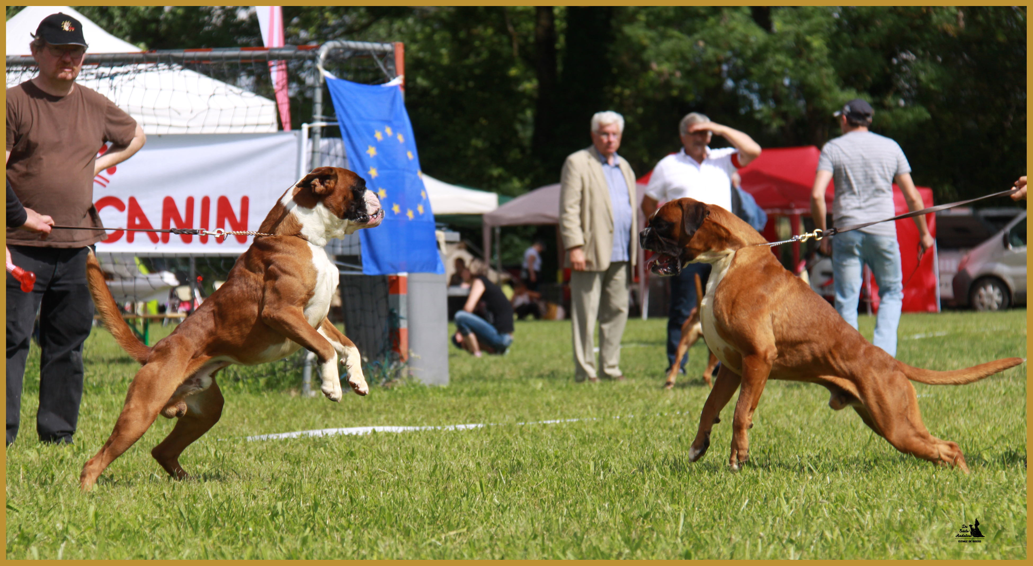 Jerez NE Echevannes 27.06.16