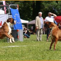 Jerez NE Echevannes 27.06.16