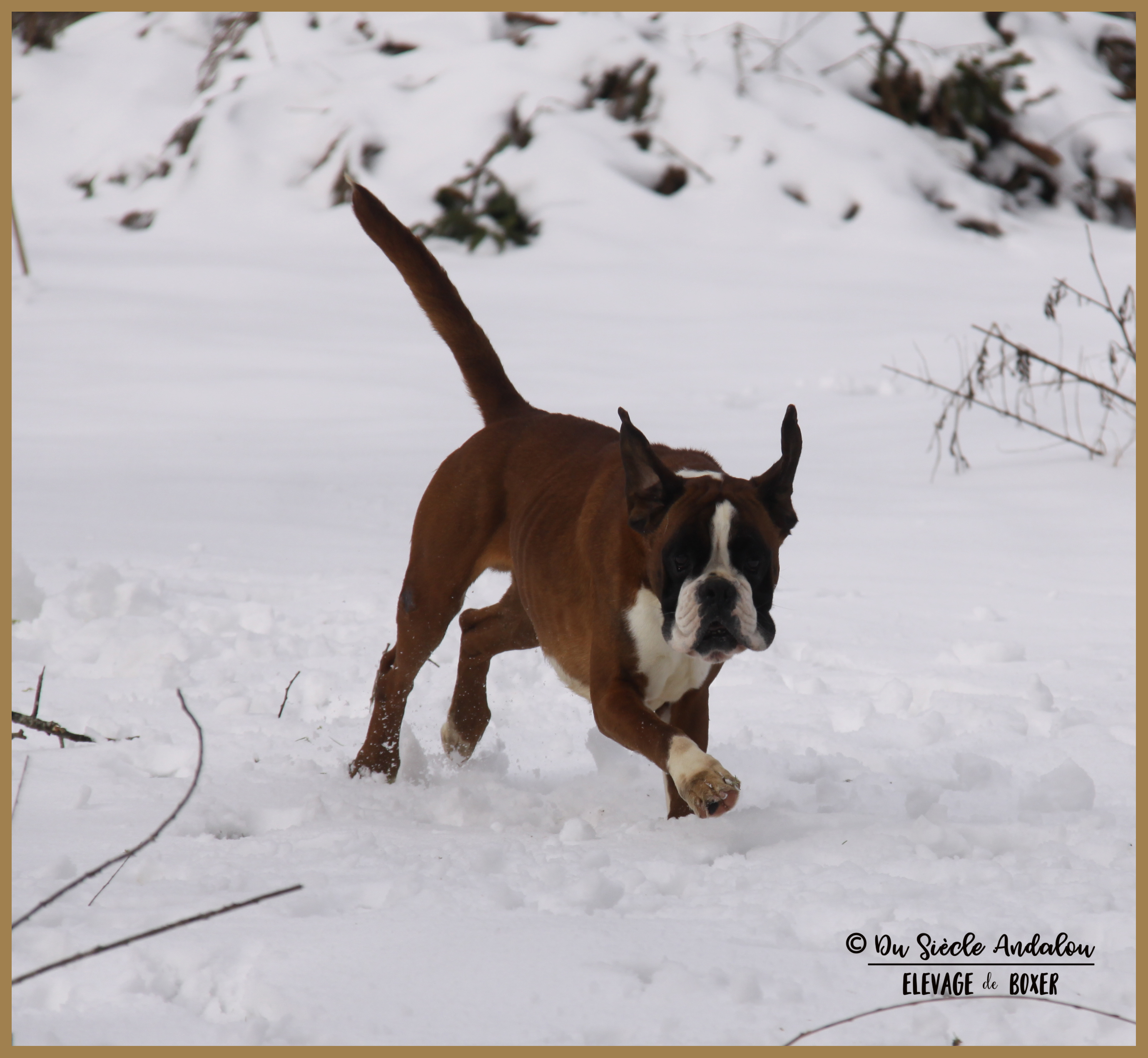 Jerez Neige 01.03.18, 4 ans