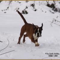 Jerez Neige 01.03.18, 4 ans