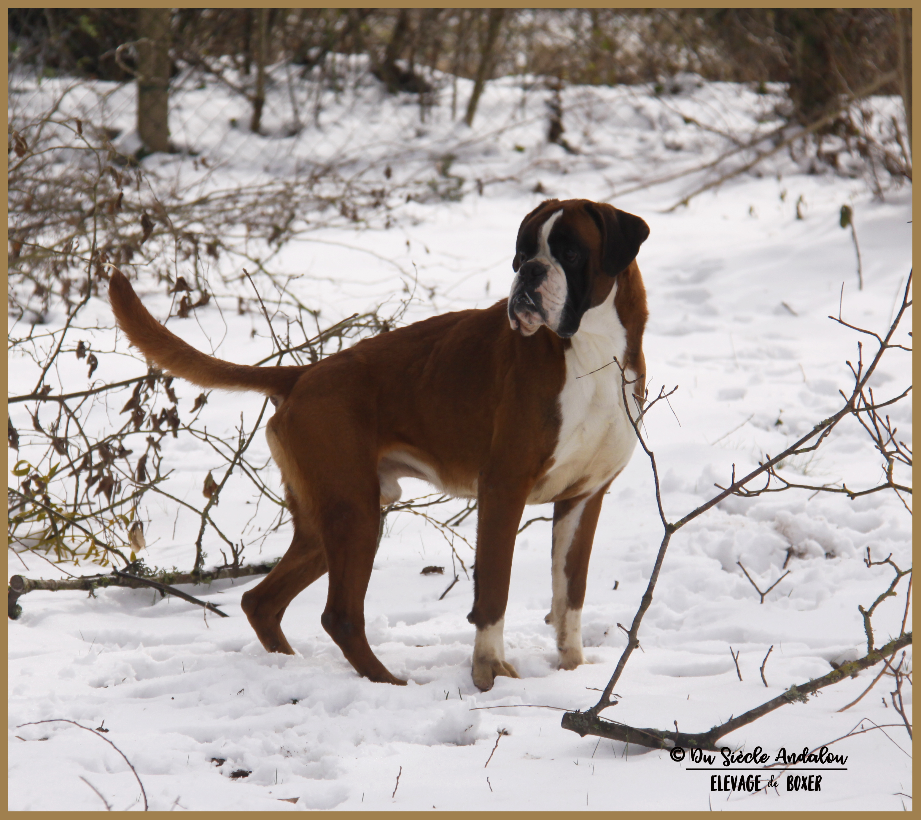 Jerez Neige 01.03.18, 4 ans