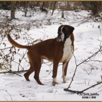 Jerez Neige 01.03.18, 4 ans