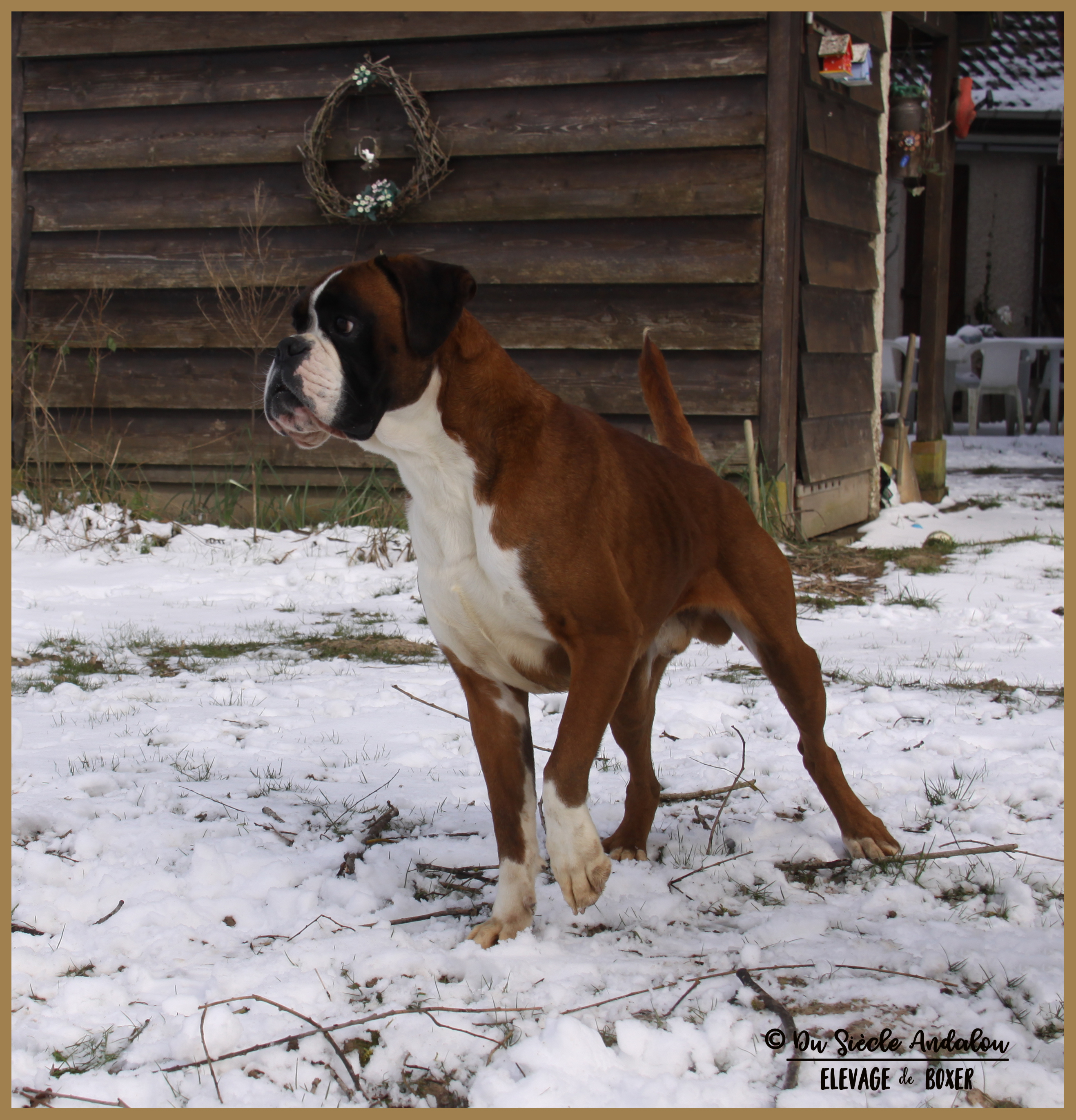 Jerez Neige 01.03.18, 4 ans