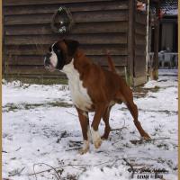 Jerez Neige 01.03.18, 4 ans