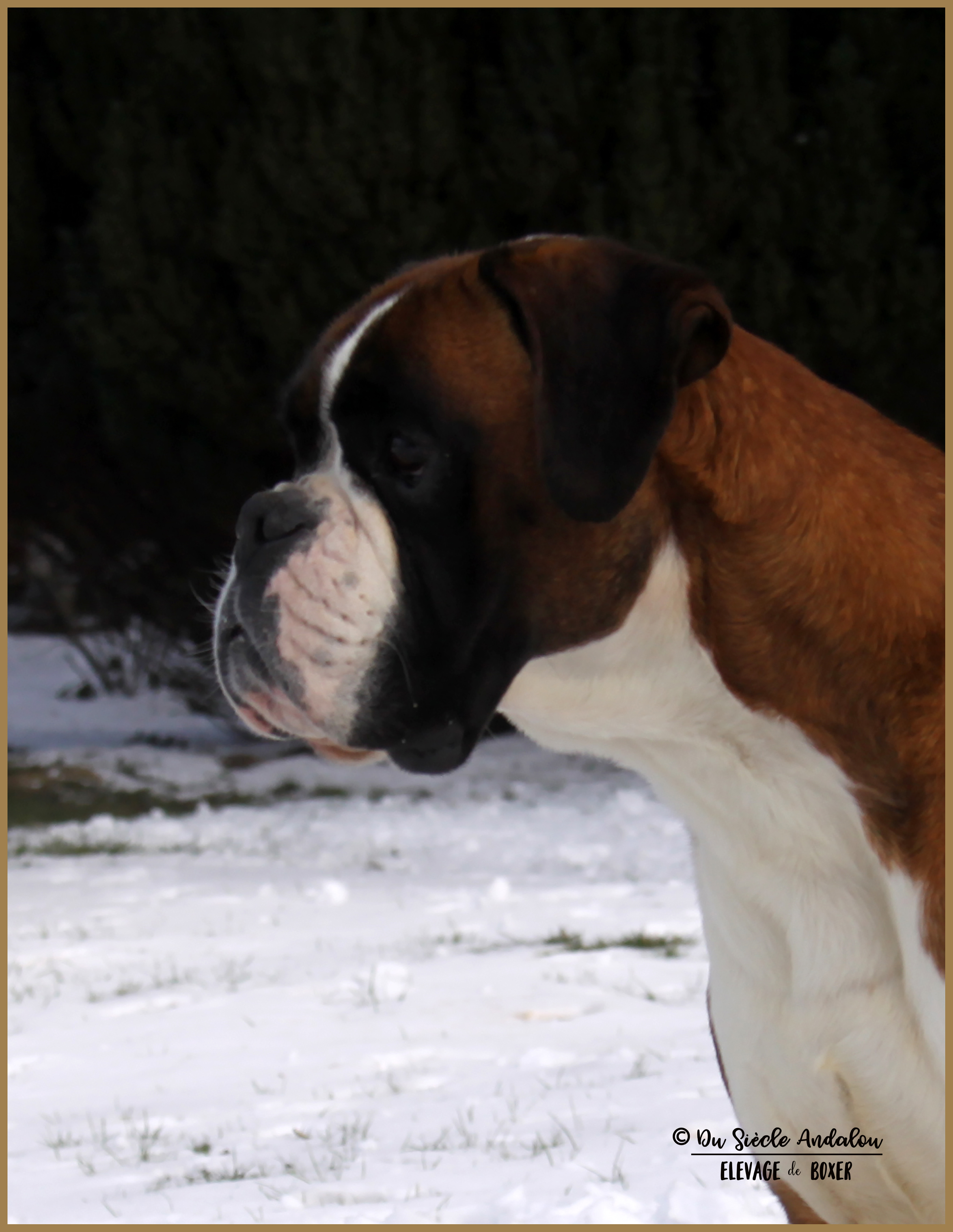 Jerez Neige 01.03.18, 4 ans