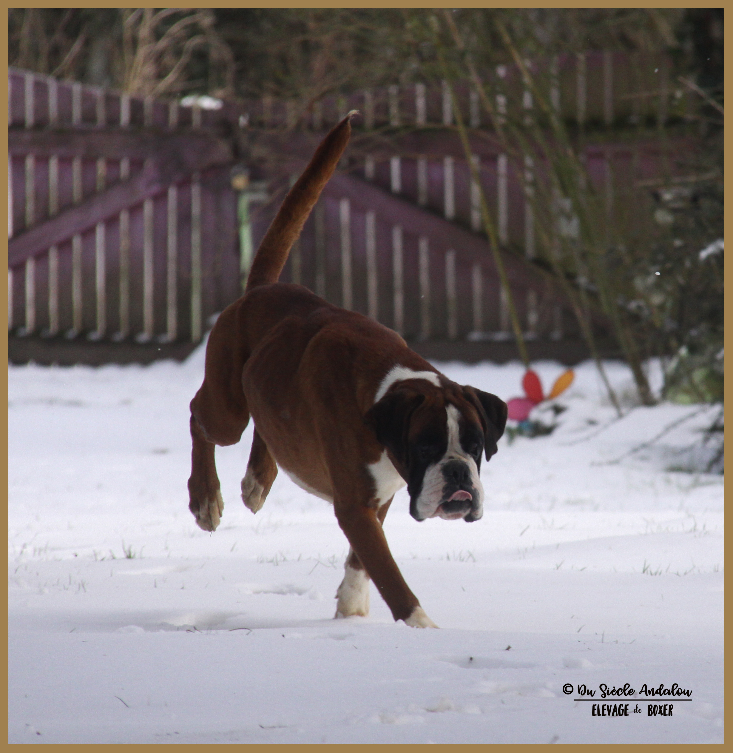 Jerez Neige 01.03.18, 4 ans