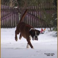 Jerez Neige 01.03.18, 4 ans