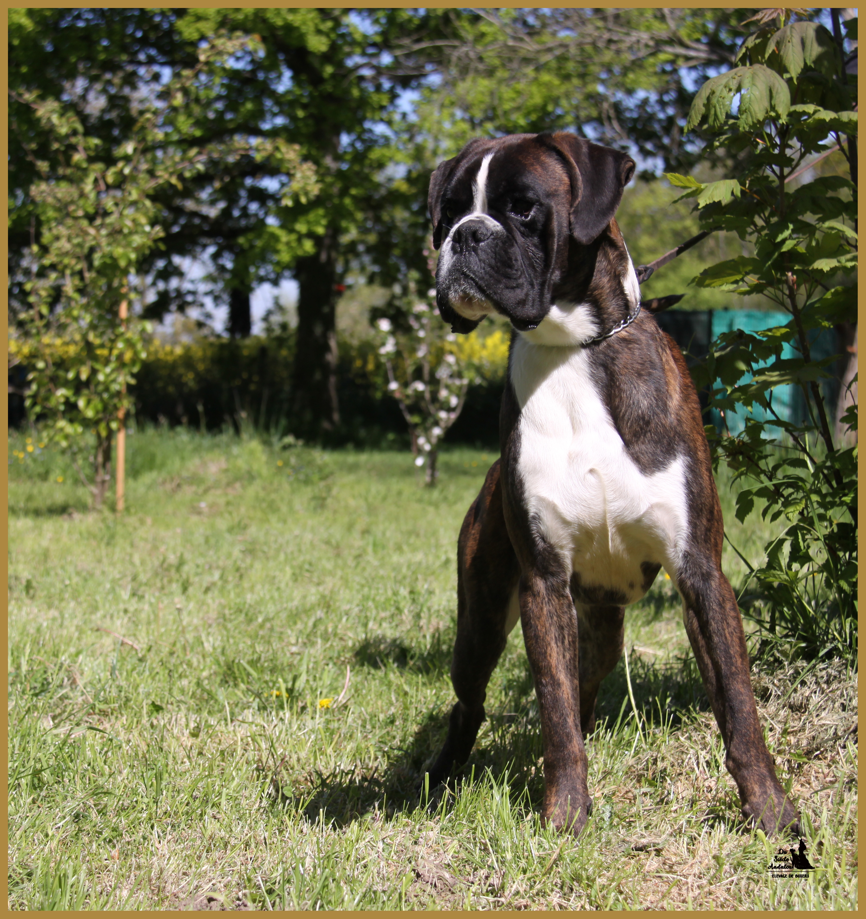 Jerico 05.05.16, 25 mois