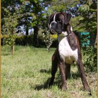 Jerico 05.05.16, 25 mois