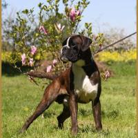 Jerico 05.05.16, 25 mois