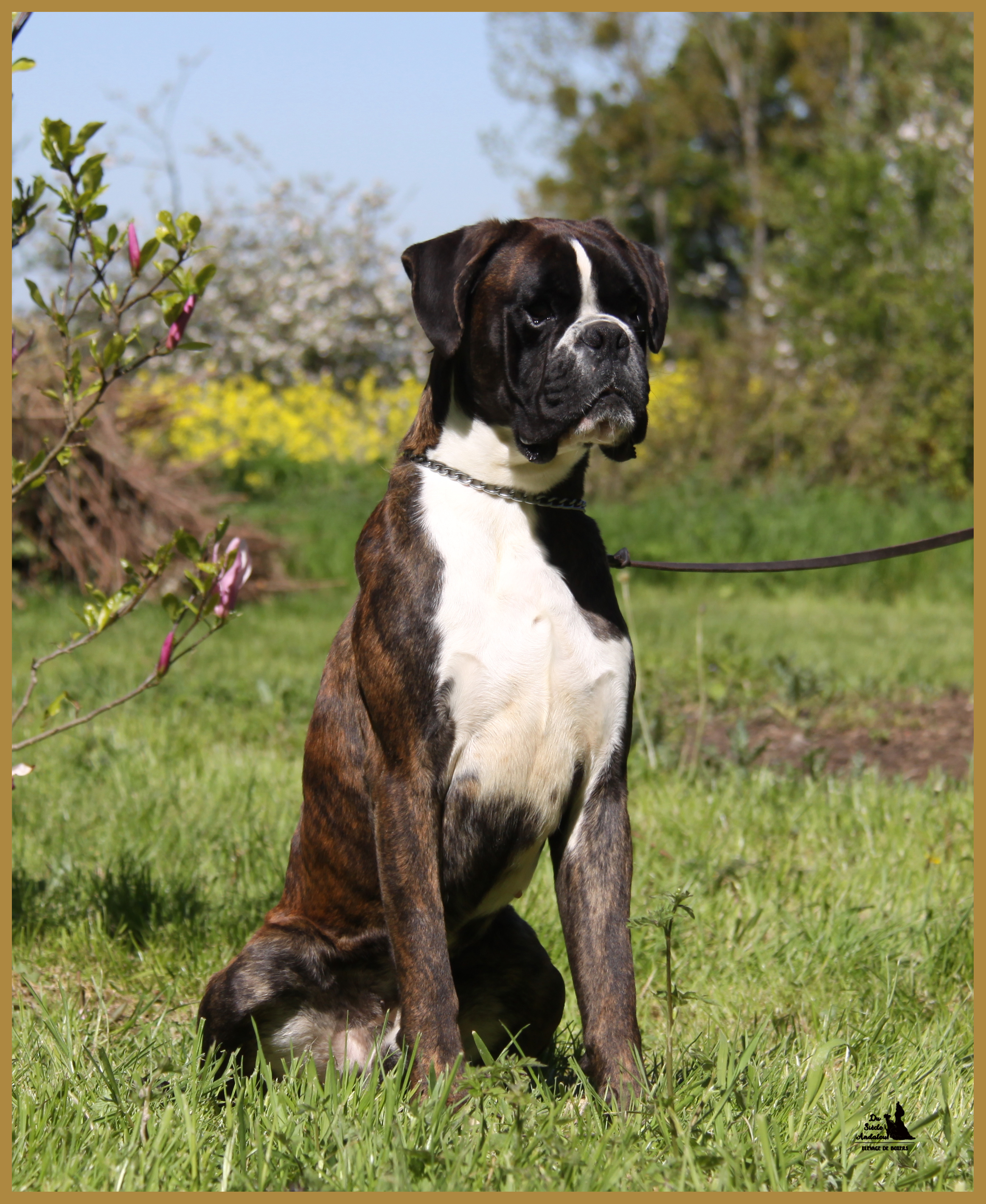 Jerico 05.05.16, 25 mois