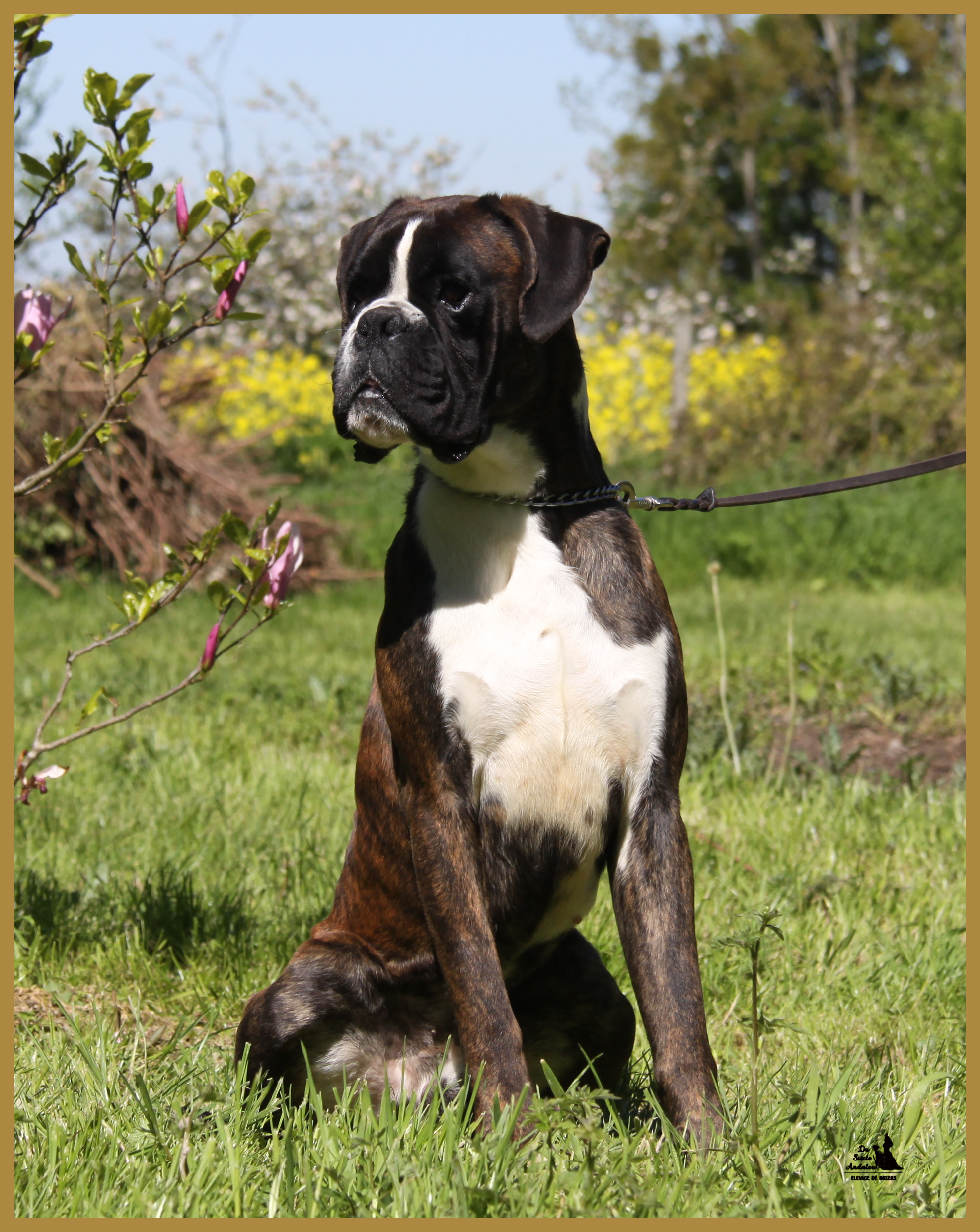 Jerico 05.05.16, 25 mois