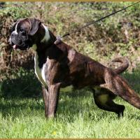 Jerico 05.05.16, 25 mois