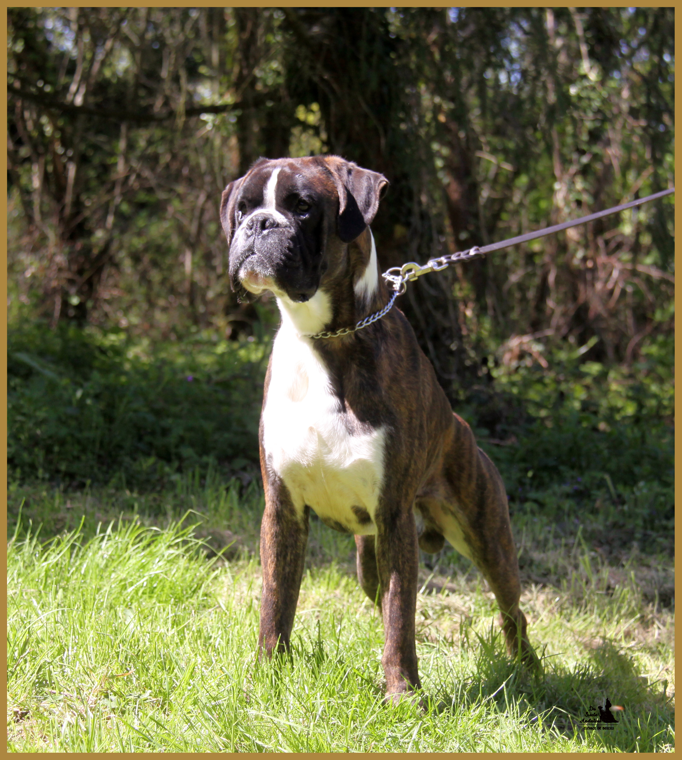 Jerico 05.05.16, 25 mois