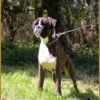 Jerico 05.05.16, 25 mois