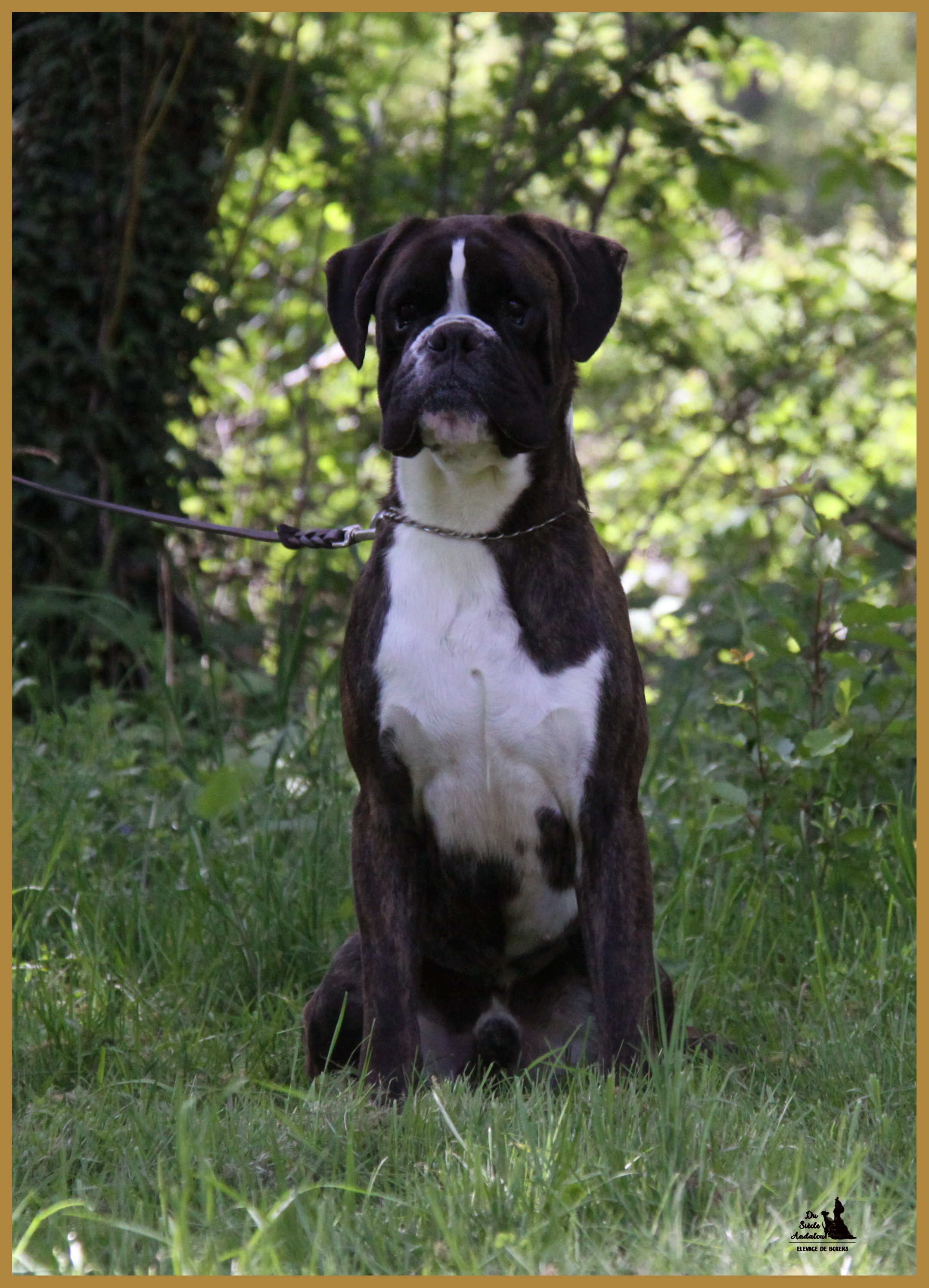 Jerico 05.05.16, 25 mois