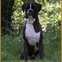 Jerico 05.05.16, 25 mois