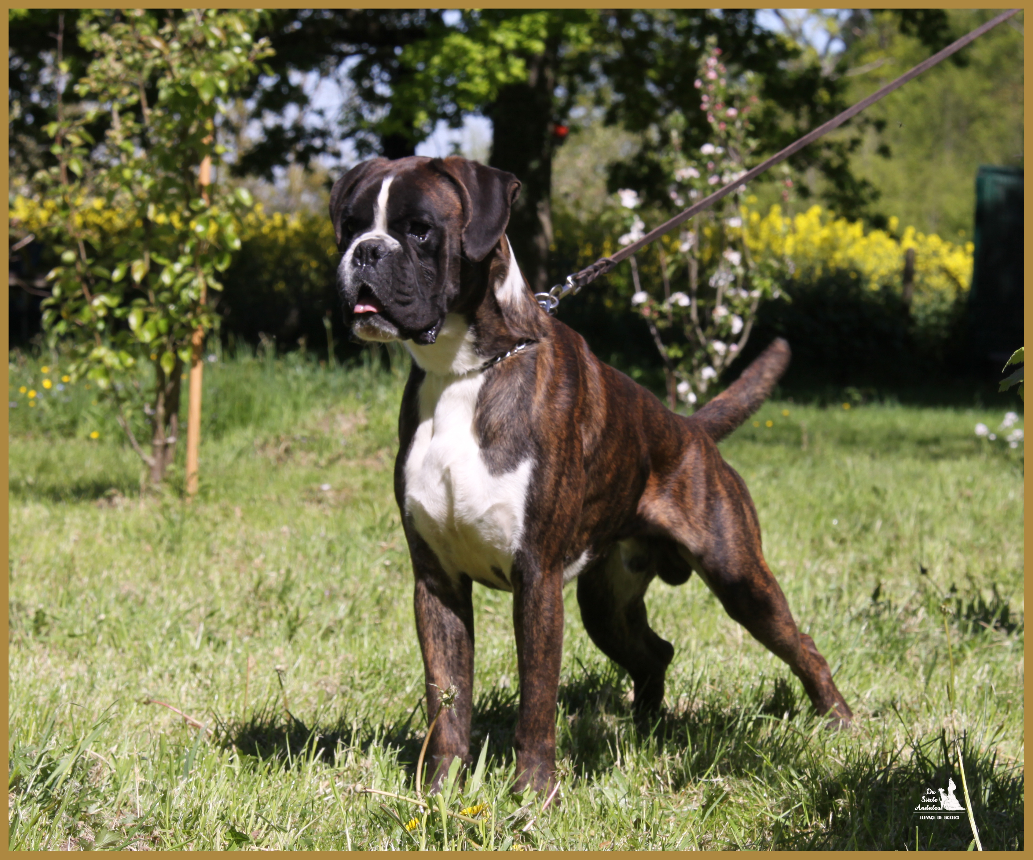 Jerico 05.05.16, 25 mois