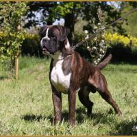 Jerico 05.05.16, 25 mois