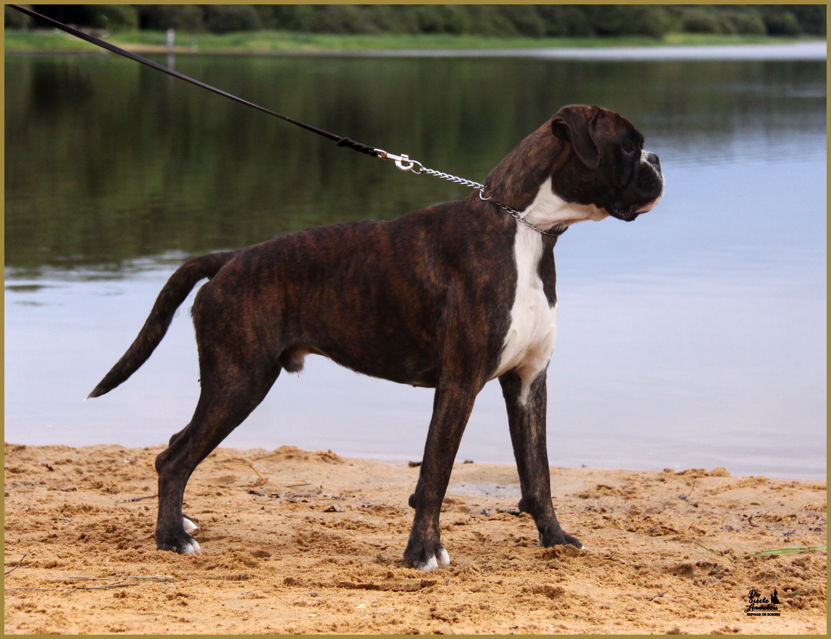 Jerico 17.08.15 16 mois