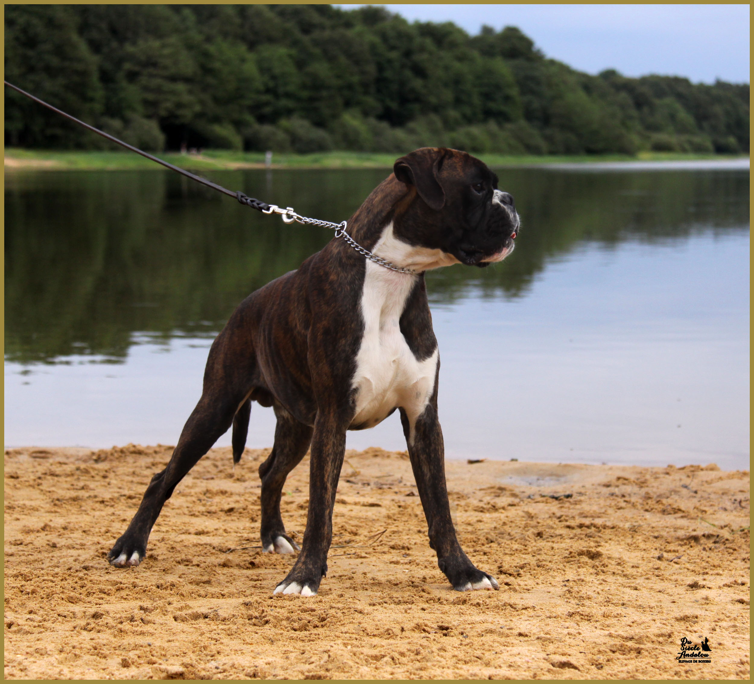 Jerico 17.08.15 16 mois