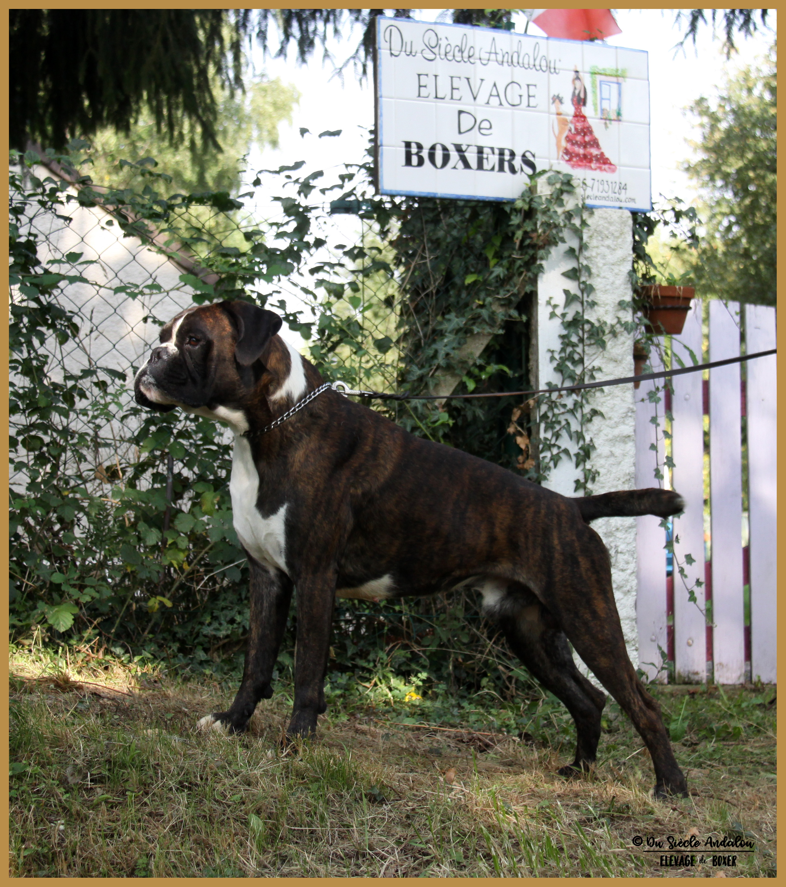Jerico 26.08.17, 3 ans et demi 