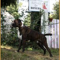 Jerico 26.08.17, 3 ans et demi 