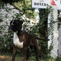 Jerico 26.08.17, 3 ans et demi 