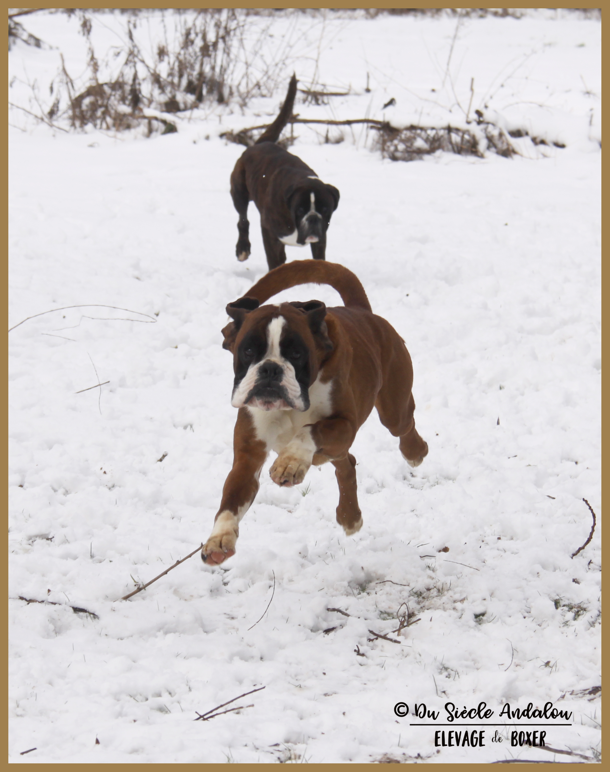 Jerico Jerez Neige 01.03.18, 4 ans