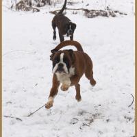 Jerico Jerez Neige 01.03.18, 4 ans