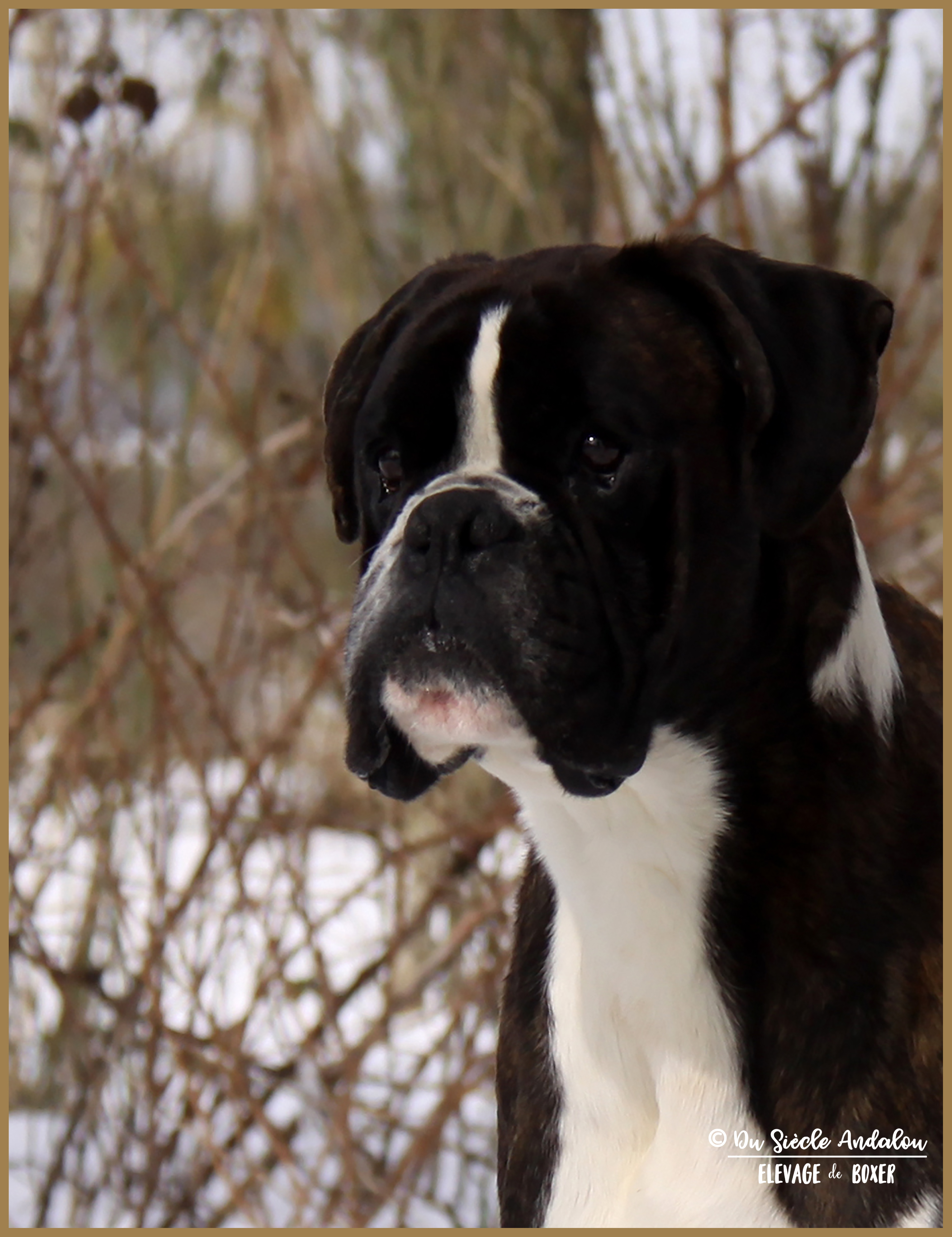 Jerico Neige 01.03.18 4 ans