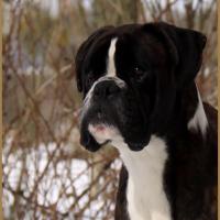 Jerico Neige 01.03.18 4 ans