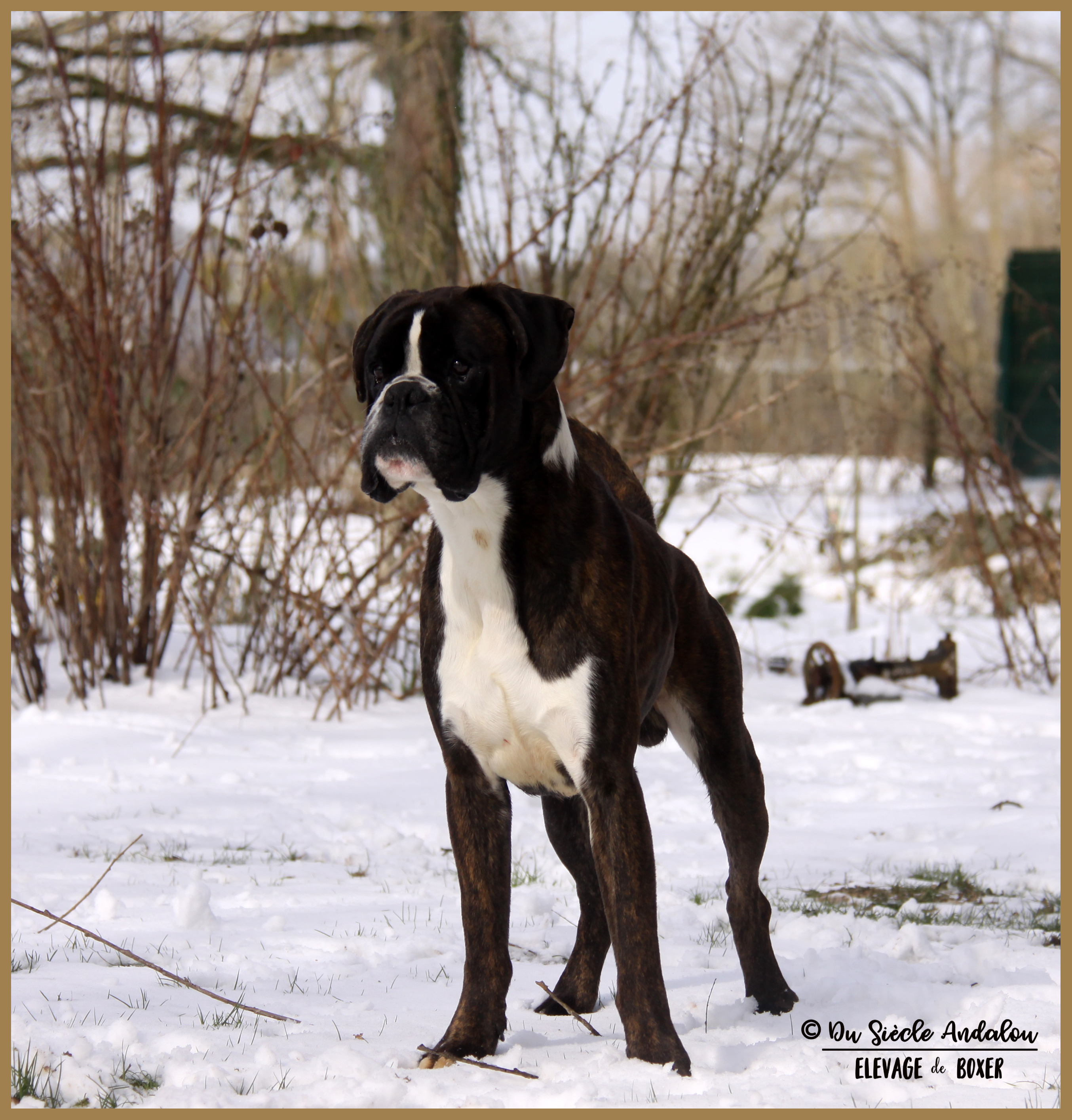 Jerico Neige 01.03.18 4 ans